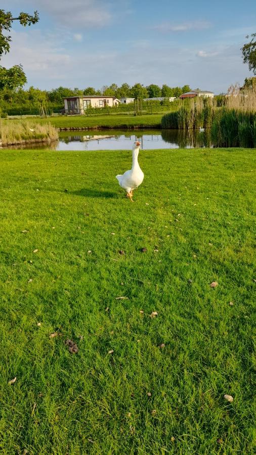 'T Groentje Baarland Zewnętrze zdjęcie