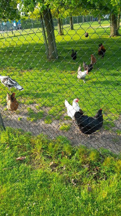 'T Groentje Baarland Zewnętrze zdjęcie